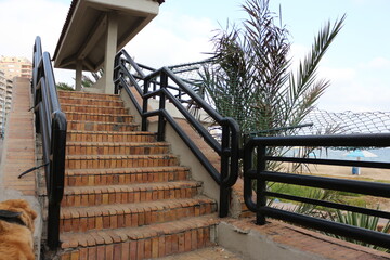 Stairs and chair with bridge