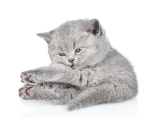 Baby kitten washing and cleaning itself. isolated on white background