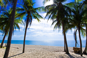 Beautiful beach in Thailand. View of sunlight tropical sea beach with coconuts palms. Tropical sand beach holiday for background and vacation travel concept.