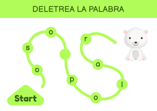 Deletrea la palabra - Spell the word. Maze for kids. Spelling word game template. Learn to read word polar bear. Activity page for study Spanish for development of children. Vector stock illustration.
