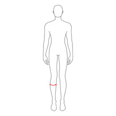 Men to do calf measurement fashion Illustration for size chart. 7.5 head size boy for site or online shop. Human body infographic template for clothes. 