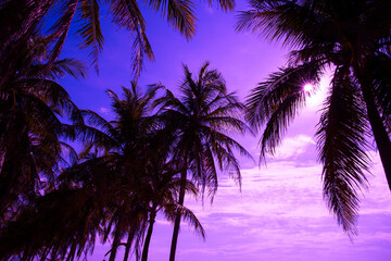 Fototapeta na wymiar Beautiful beach in Thailand. View of sunlight tropical sea beach with coconuts palms. Tropical sand beach holiday for background and vacation travel concept.