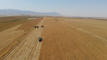 Wheat field. Golden ears of wheat on the field. Wheat field top view. The wind swings the harvest of grain crops