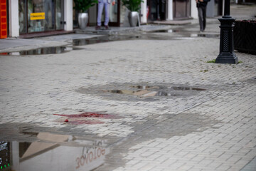 splattered and spattered dried and congealed blood stains or pools on a sidewalk or pavement...