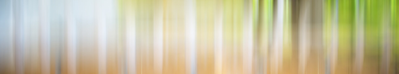 Obraz premium Blurred gradient background long horizontal
