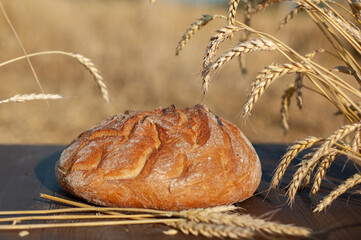 A loaf of wheat bread on a brown wooden table framed by wheat ears against a golden wheat field and a blue sky in a blur. Copy space. Banner. © Наталья Канищева