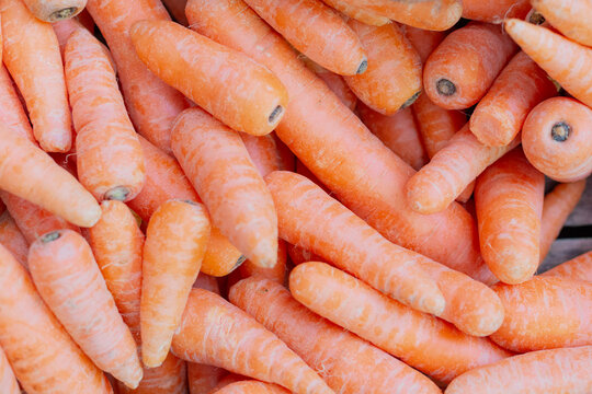 Pile of bright clean orange carrots on the open market. Street trade, healthy food. Market, shops with vegetables and fruits. Healthy food for the whole family