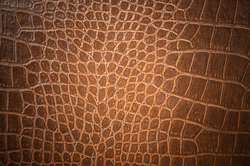 Brown skin leather texture