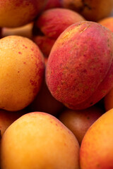 Background or texture Fresh natural apricot close-up.
