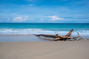 Fototapeta na wymiar tropical beach with timber on sand
