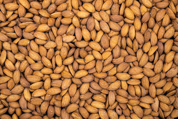 Raw Almond Top view