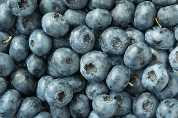 Food background. Close-up of blueberries. Macro shot.