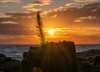 Saint-Jean-de-Monts  sunset at the beach