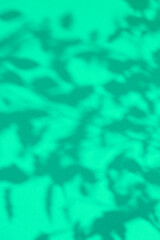 Greenery shadows Minimal stylish wallpaper. Aqua menthe colours trends