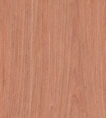 wood wall material burr surface texture background Pattern Abstract brown color wooden, top view