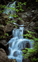Obraz premium waterfall in the forest