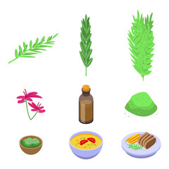 Rosemary icons set. Isometric set of rosemary vector icons for web design isolated on white background