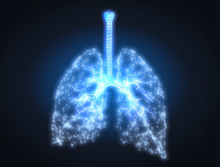Human lungs with bronchi and pulmonars alveoli, conceptual artwork