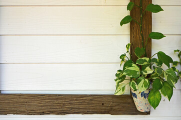 Part of blank frame with pothos pot decoration on white wooden wall