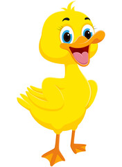 Happy Duck cartoon, isolated on white background