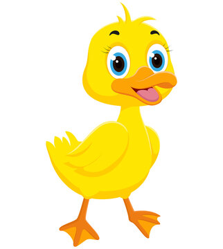Happy Duck cartoon, isolated on white background