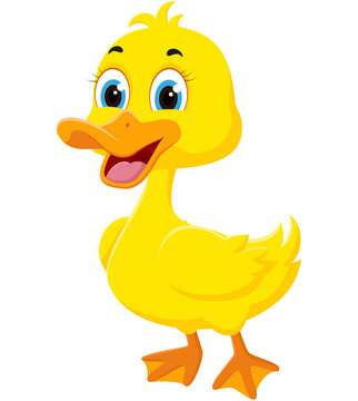 Happy Duck cartoon, isolated on white background