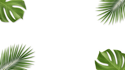 Fototapeta na wymiar Palm leaves and monstera leaves on a white background. and a copy space. Workspace for card and advertise on social media. 3D illustration