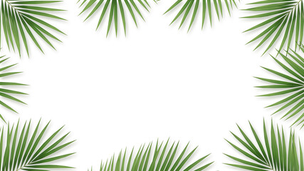 Fototapeta na wymiar Palm leaves on a white background. and a copy space with flat lay style. Workspace for card and advertise on social media. 3D illustration
