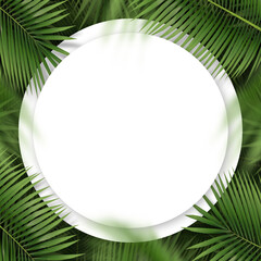 The circle copy space and palm leaves. Create with Tropical plant concept. Workspace for card and advertise on social media. 3D illustration