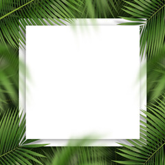 Fototapeta na wymiar Close-Up of white copy space and palm leaves. Create with Tropical plant concept Workspace for card and advertise on social media. 3D illustration