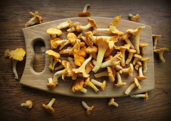 Forest chanterelle mushrooms on rustic wooden background and a wooden cutting board
