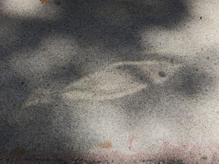 image of a fish, a reflection on the street