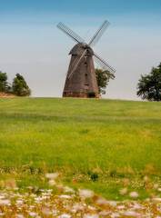 Fototapeta na wymiar windmill in Latvia