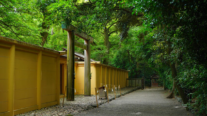 熱田神宮の森