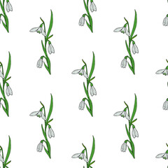 Seamless pattern with creative spring snowdrops on white background. Vector image.