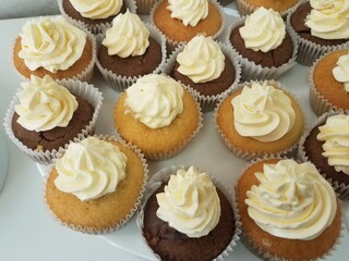cupcakes with cream