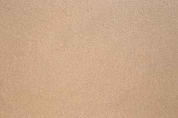 Fototapeta na wymiar wet sand on the coastline, natural clean beige light background, texture.Place for text, template