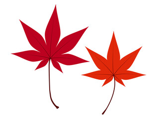 紅葉の葉のイラスト