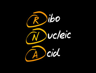 RNA - Ribonucleic acid acronym, medical concept background