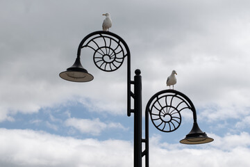 Lamp post with ammonite design and seagulls 