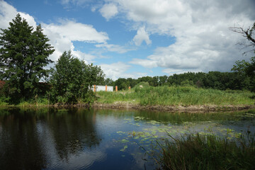 landscape with lake and trees