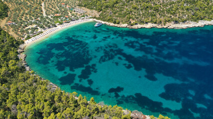 Aerial photo taken by drone of Caribbean tropical exotic island lagoon with turquoise clear sea sandy beaches and rare pine trees