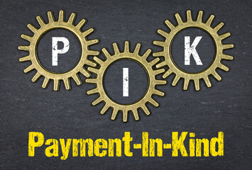 PIK Payment-In-Kind