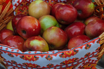 Red ripe, juicy, apples in a wicker basket with a napkin with a close-up pattern, the concept of an orchard, farming, harvesting