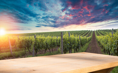 Scenery vineyard along the south Styrian vine route named Suedsteirische Weinstrasse in Austria at sunset, Europe.