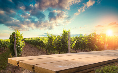 Scenery vineyard along the south Styrian vine route named Suedsteirische Weinstrasse in Austria at sunset, Europe.
