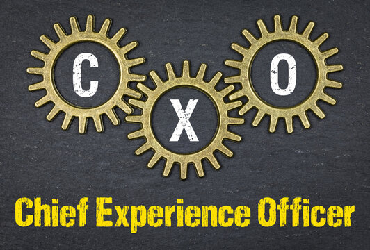 CXO Chief Experience Officer
