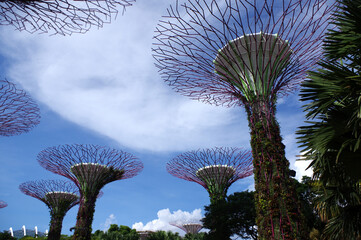 Fototapeta na wymiar Arbres artificielles dans les Gardens by the bay, Singapour 