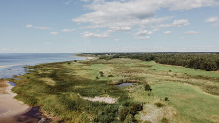 drone image. field view from above with reeds and pond sea shore. green and brown - panoramic image