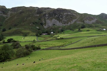 Obraz premium Landscape with green grass and mountains, in Blea Tarn, Little Langdale, Coniston, in the Lake District, Cumbria, England.